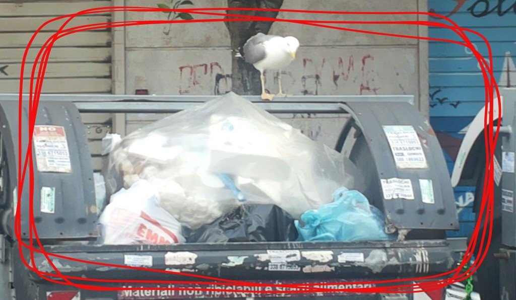 Rifiuti prenestino