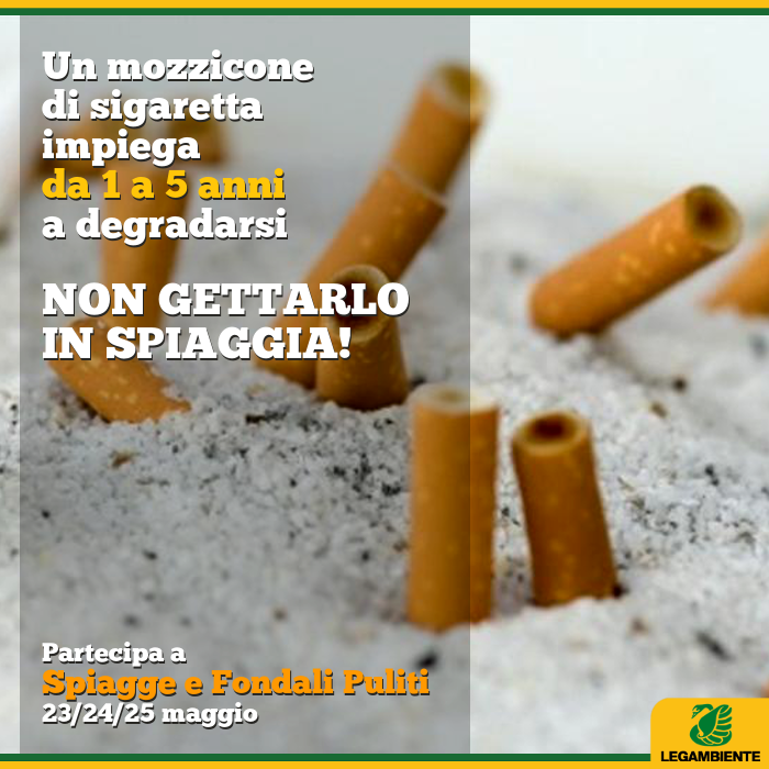 spiagge e fondali puliti