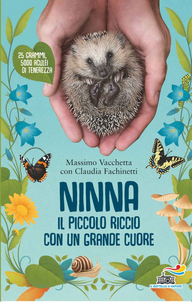 ninna il piccolo riccio con un grande cuore recensione libro 2019