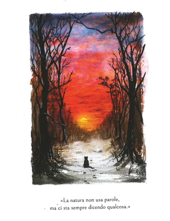 la natura Il Gatto che insegnava lo Zen norbury. Recensione libro